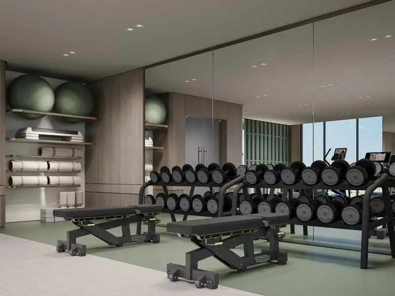 Developer visual: equipped gym